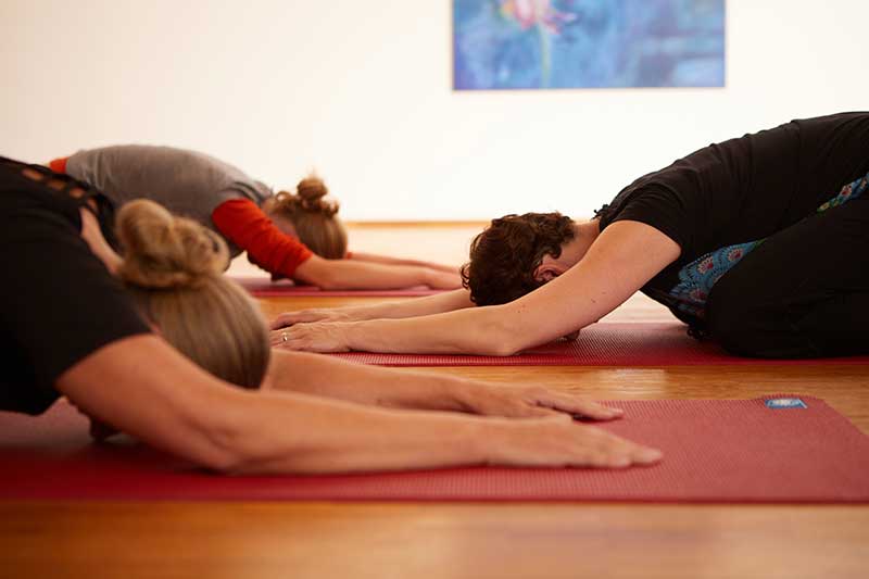 yoga-luebeck yoga lübeck krankenkasse